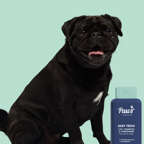 Free 2 in 1 shampoo and conditioner