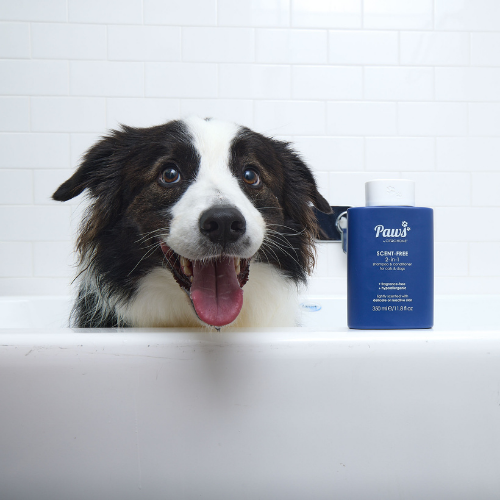 2 IN 1 Shampoo & Conditioner