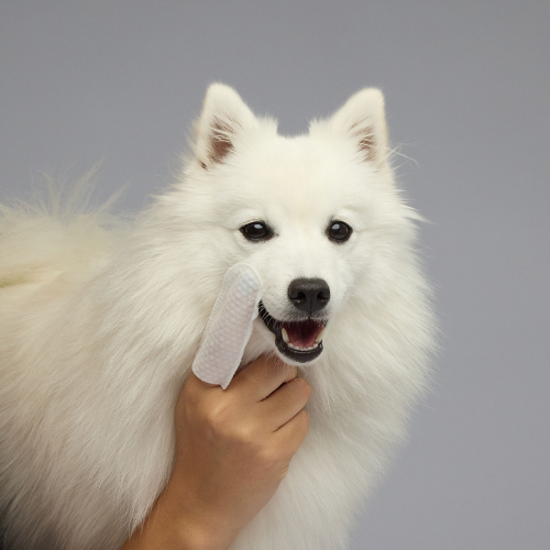 Cleaning Wipes