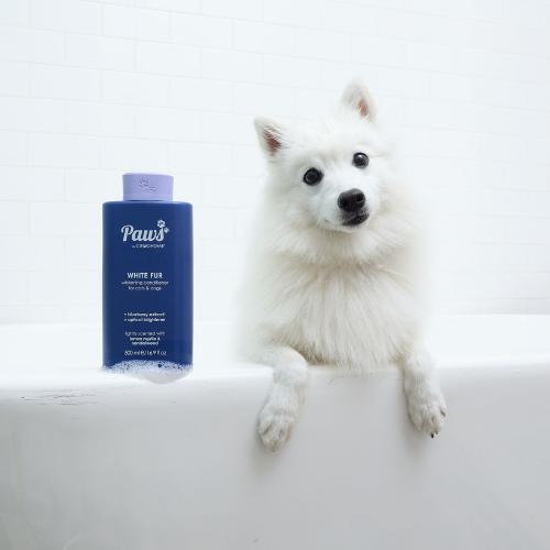Conditioner