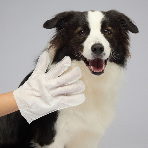 Glove Wipes