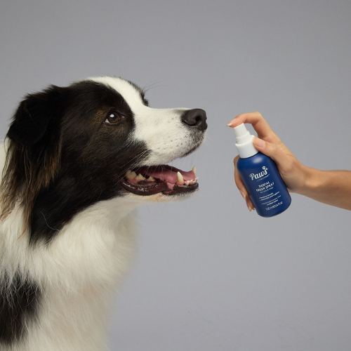 Scent Free