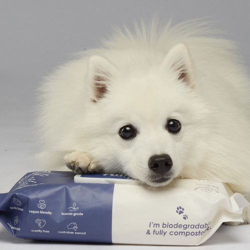 Wet Wipes