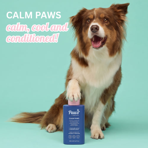 CONDITIONER - CALM PAWS - 500 ML
