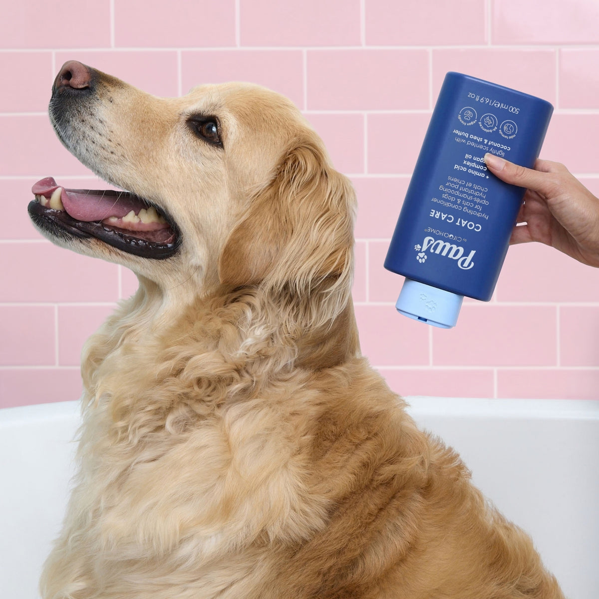 CONDITIONER - COAT CARE - 500 ML