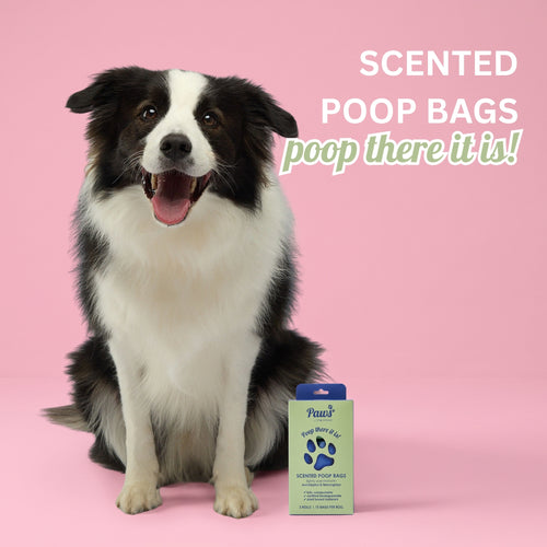 3 BOXES OF 3 SCENTED POOP BAGS WITH HANDLE - 3 ROLLS X 15 BAGS PER ROLL
