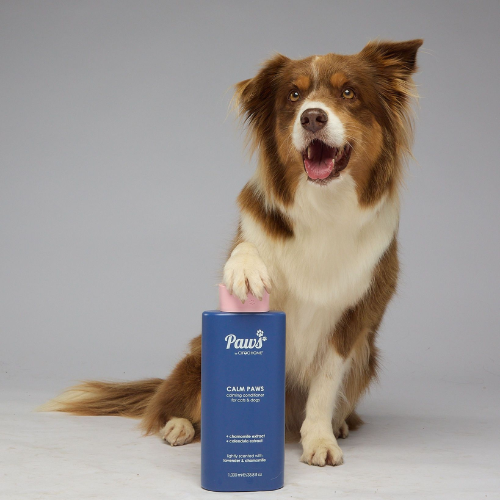 Calm Paws Shampoo