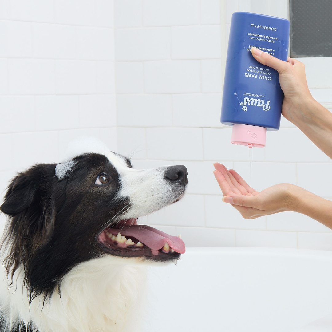 SHAMPOO - CALM PAWS - 500 ML