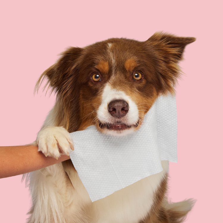 Wet Wipes