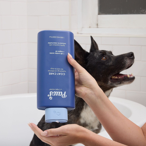 Coat Care Shampoo
