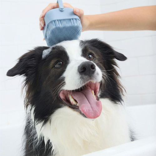 Coat Care Conditioner