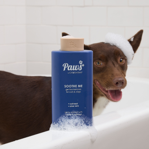 Soothe Me Shampoo